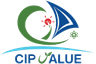 CIP Value